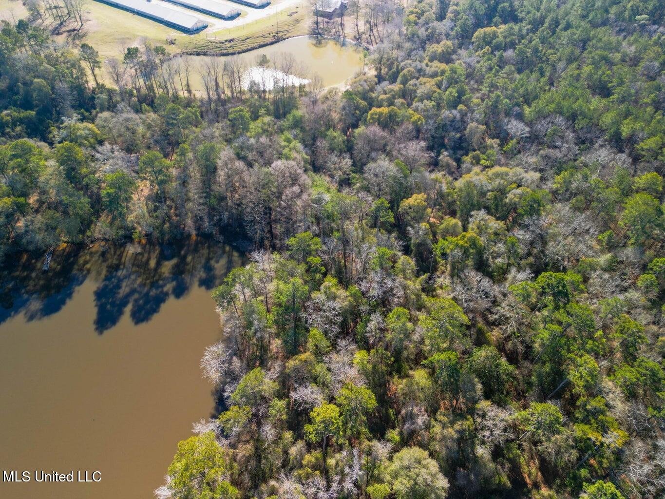 0 Us-84 Laurel, MS 39443 - Photo 2 of 8 20250126013210114750000000-o