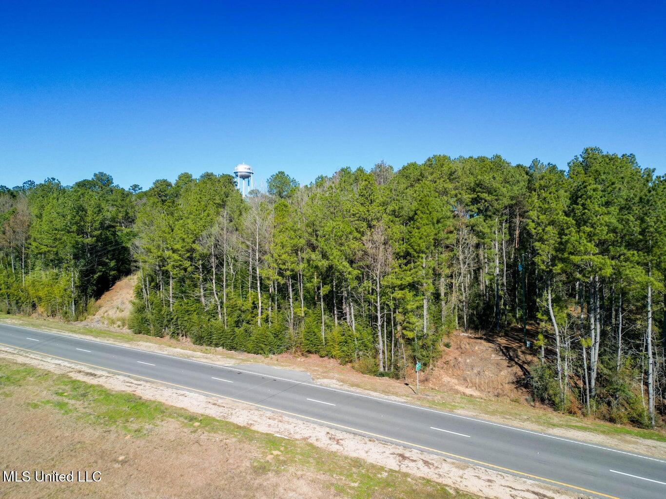 0 Us-84 Laurel, MS 39443 - Photo 3 of 8 20250126013217110316000000-o