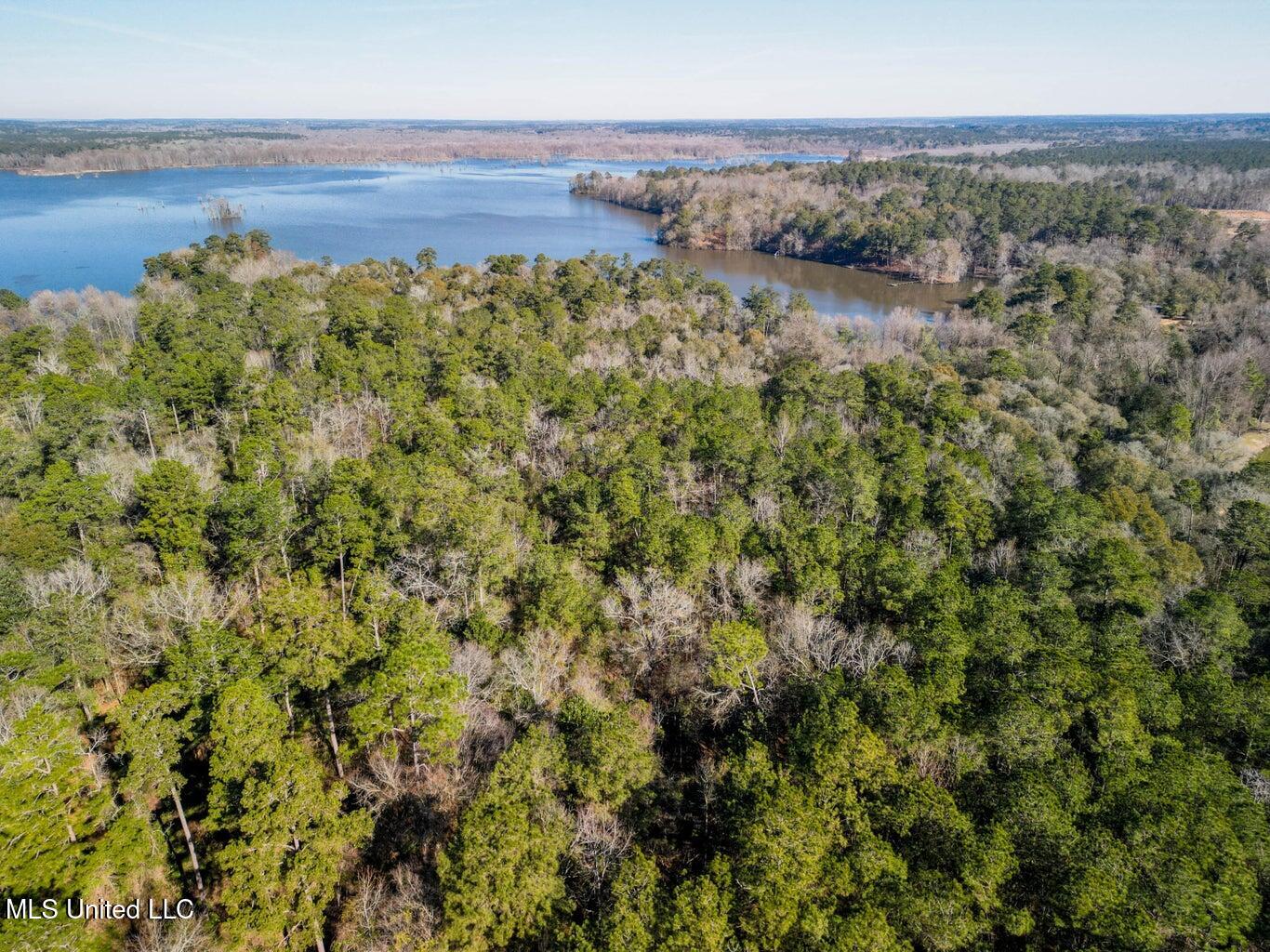 0 Us-84 Laurel, MS 39443 - Photo 5 of 8 20250126013224771742000000-o