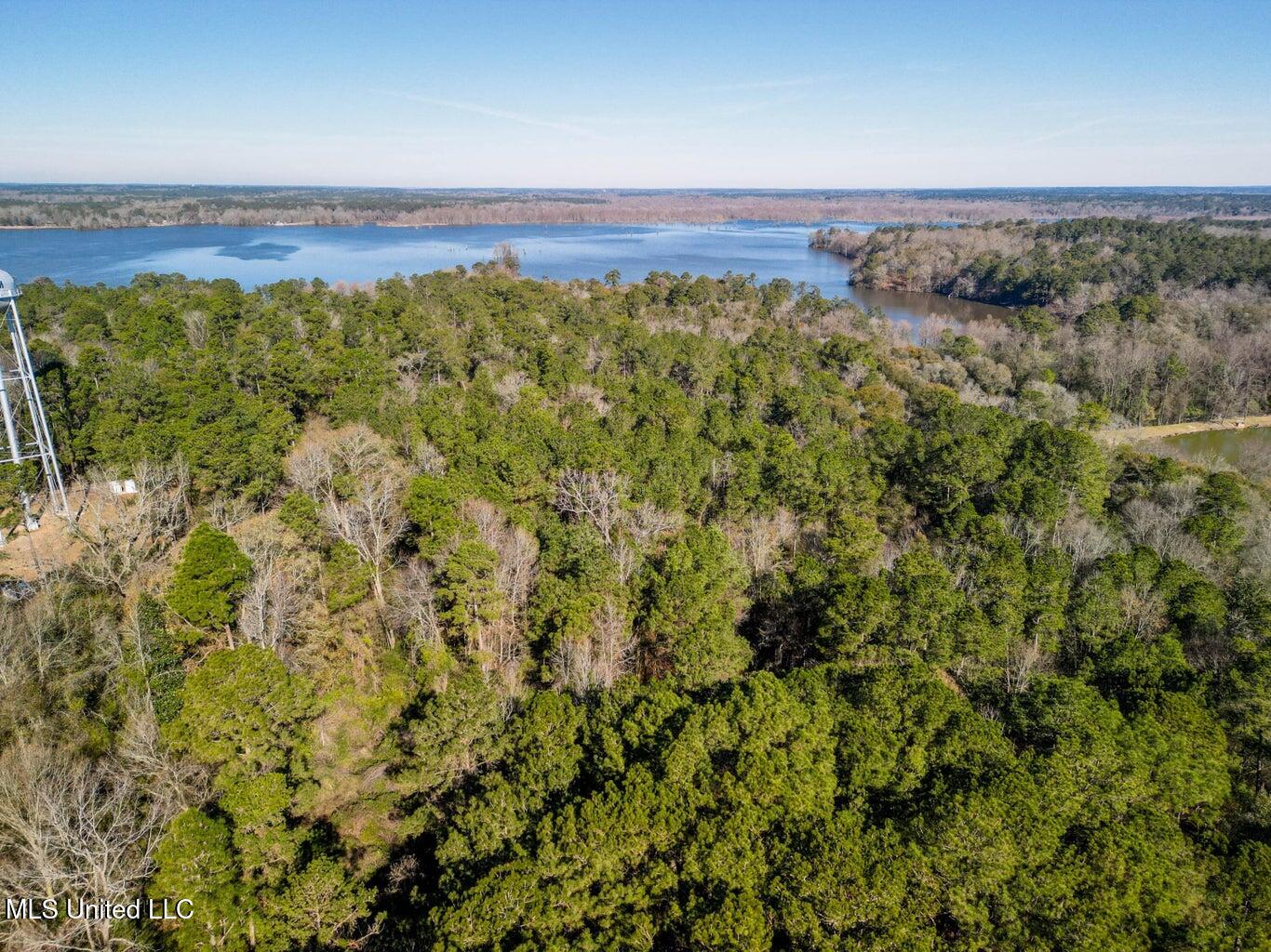 0 Us-84 Laurel, MS 39443 - Photo 6 of 8 20250126013226953067000000-o