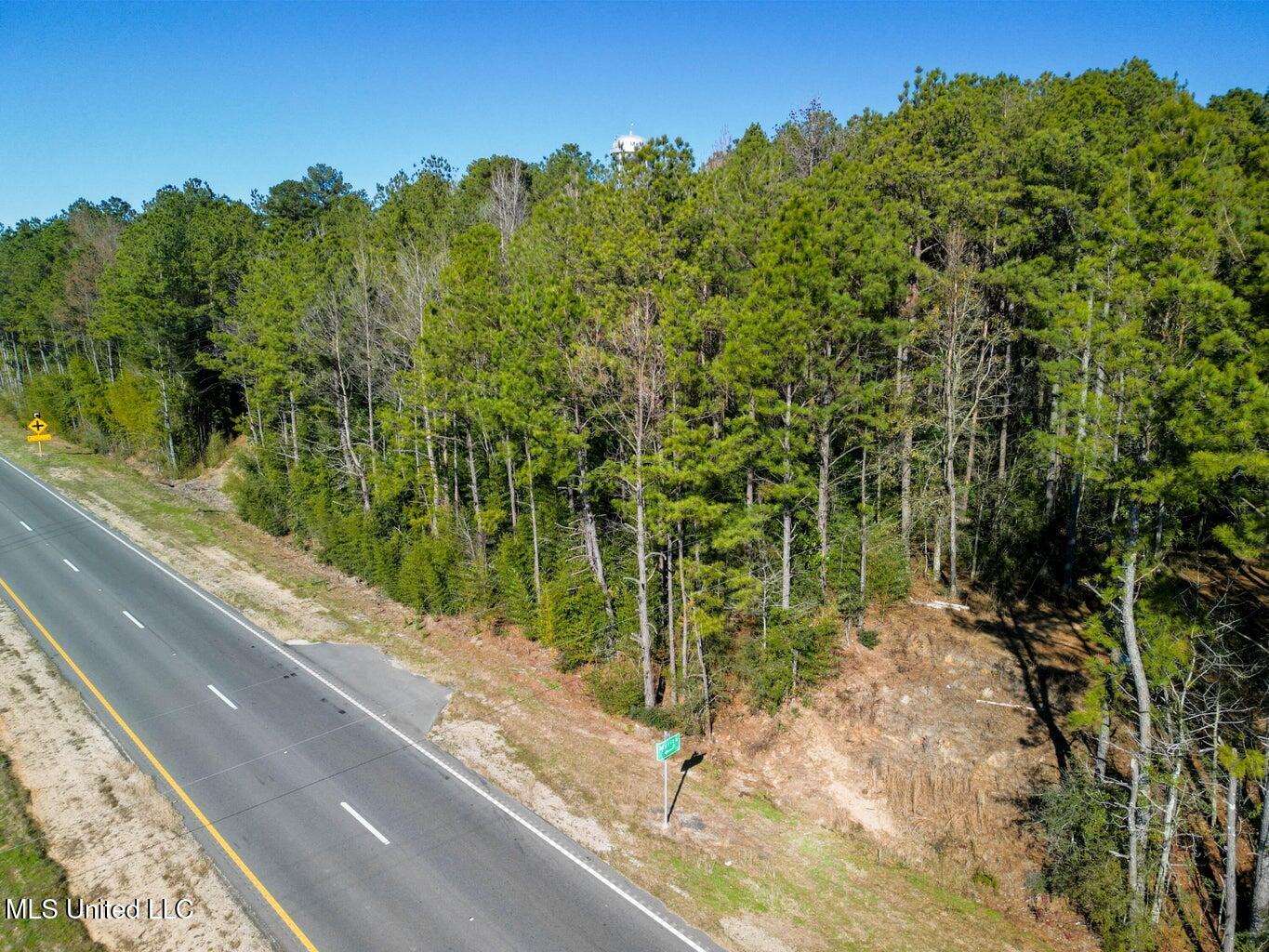 0 Us-84 Laurel, MS 39443 - Photo 8 of 8 20250126013233767225000000-o