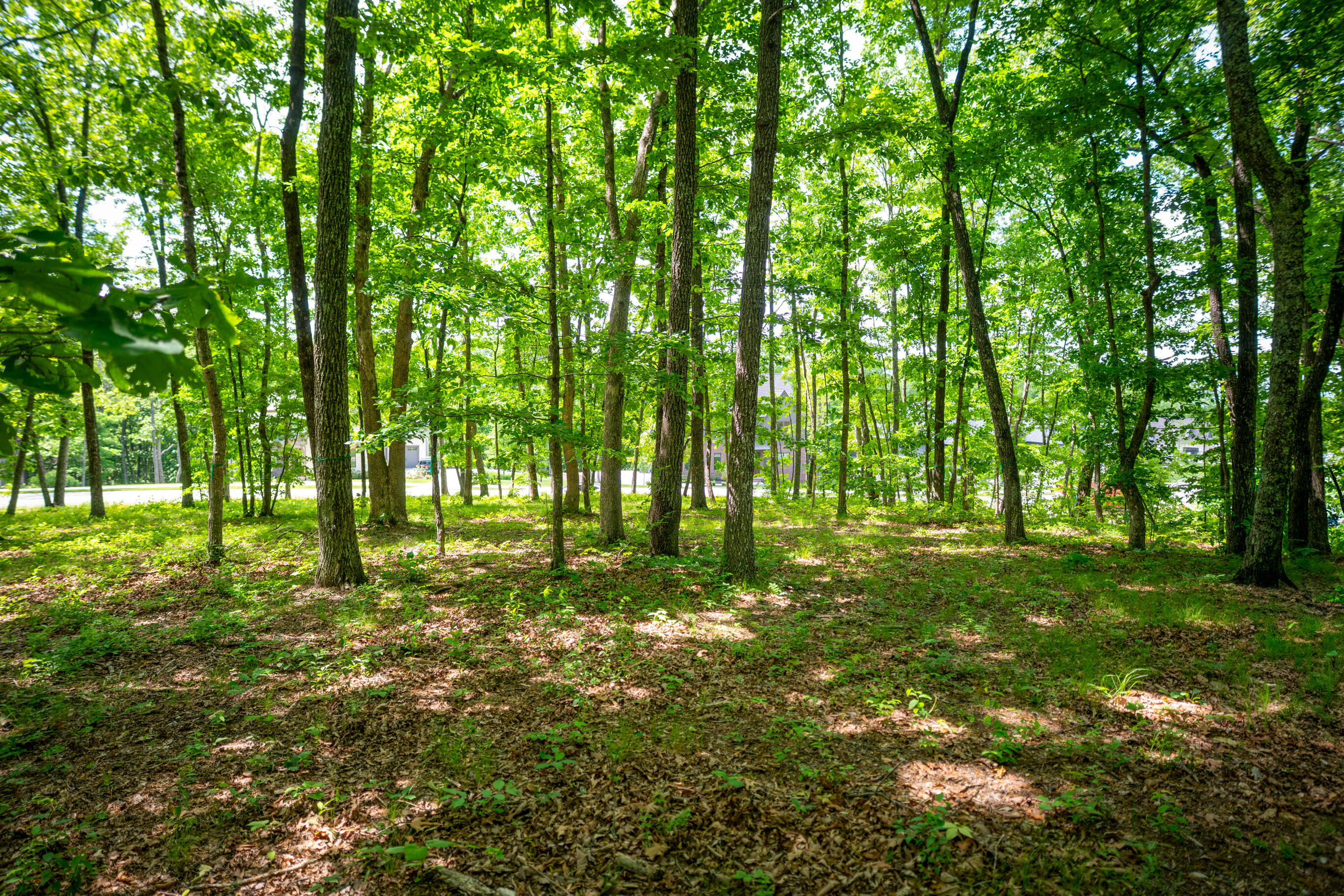4562 Amethyst Road Chattanooga, TN 37419 - Photo 11 of 28 _DSC1423-Edit