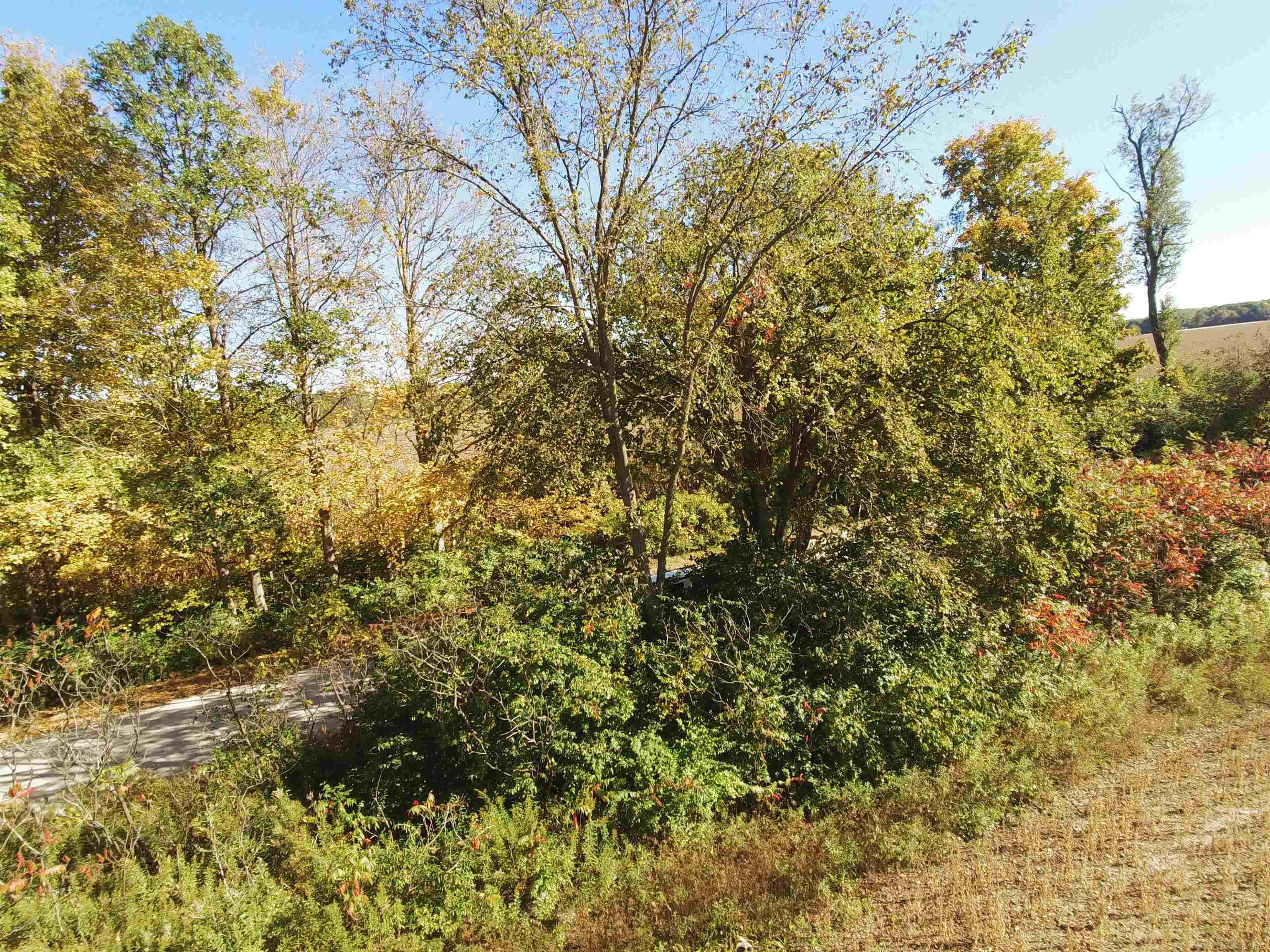 73213 Coon Creek Road Armada, MI 48005 - Photo 10 of 11