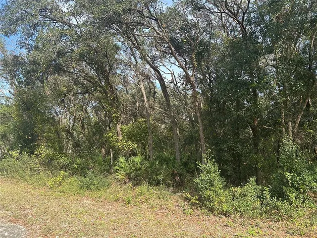 a view of a yard with large trees