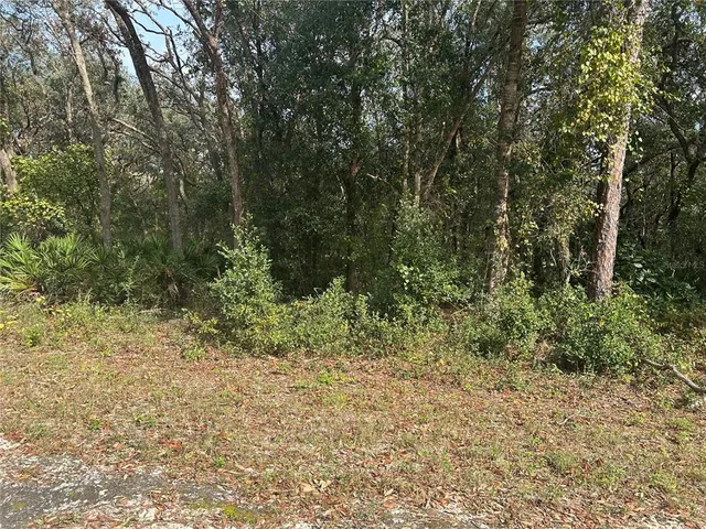 a view of a yard with a tree