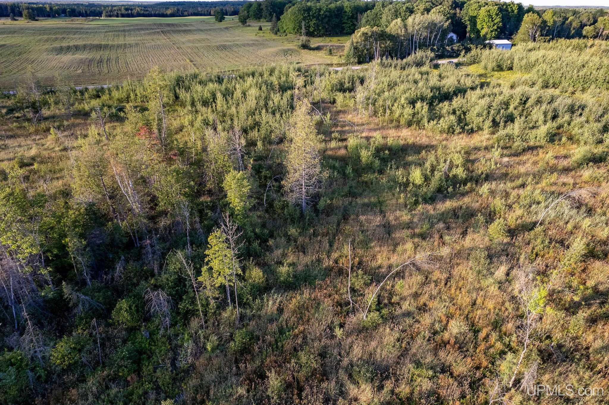 Tbd 19th Lane Escanaba, MI 49829 - Photo 5 of 16