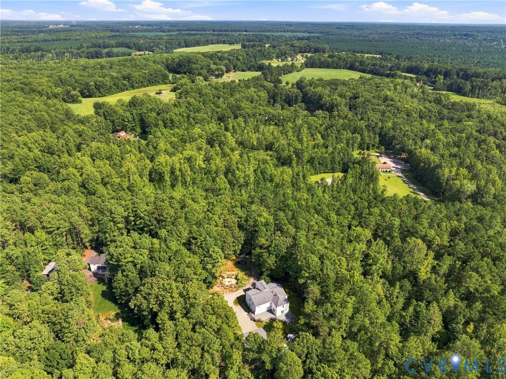 17089 Goshen Road Montpelier, VA 23192 - Photo 59 of 64 Expansive wooded acreage featuring a large residen