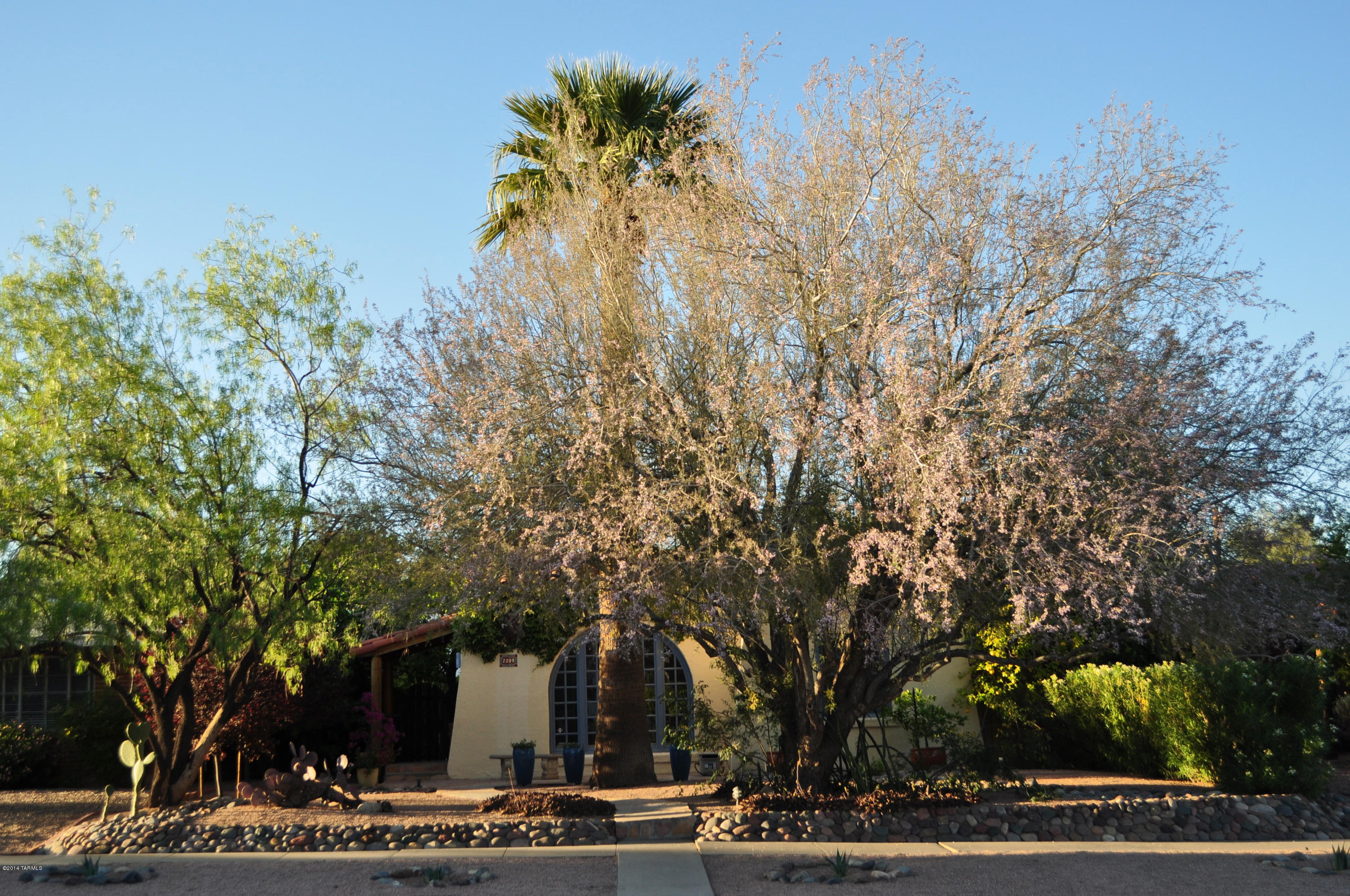 2209 East 3rd Street Tucson, AZ 85719 - Photo 36 of 46