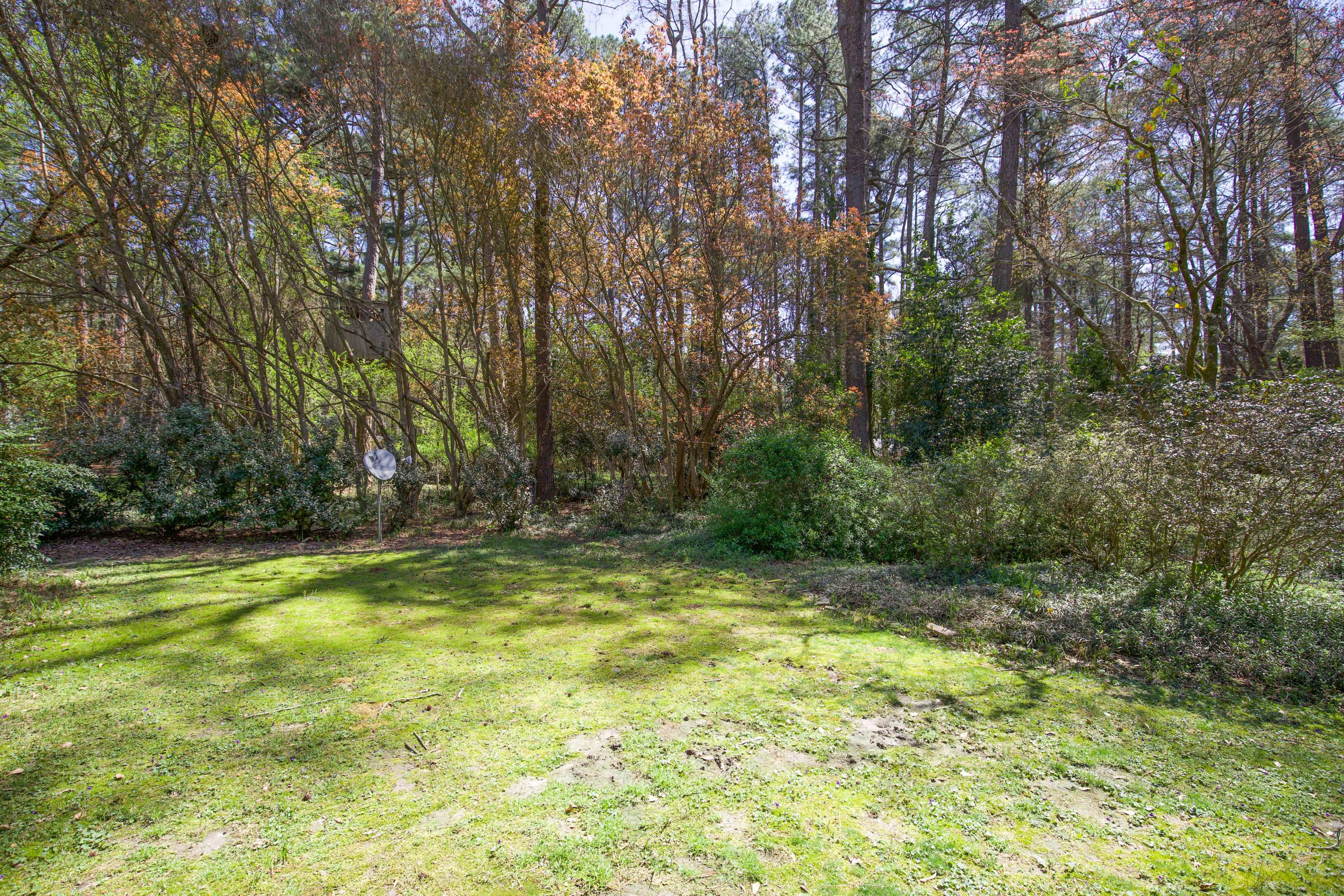 295 Cliff Road Southern Pines, NC 28387 - Photo 54 of 58 backyard