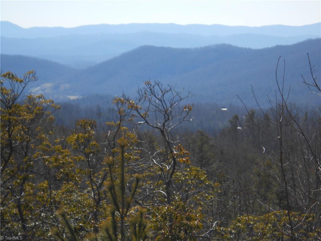 70 Deer Run Purlear, NC 28665 - Photo 2 of 5 Wide and long view