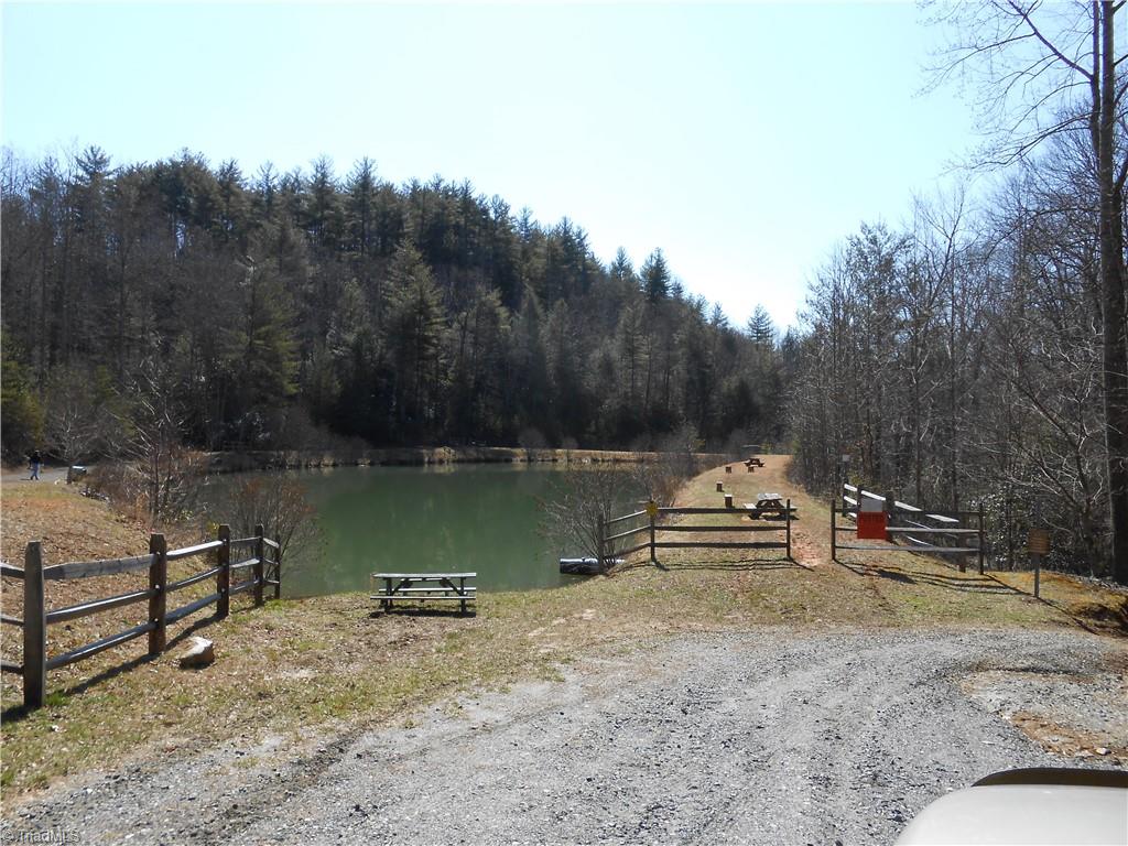 70 Deer Run Purlear, NC 28665 - Photo 3 of 5 Community pond