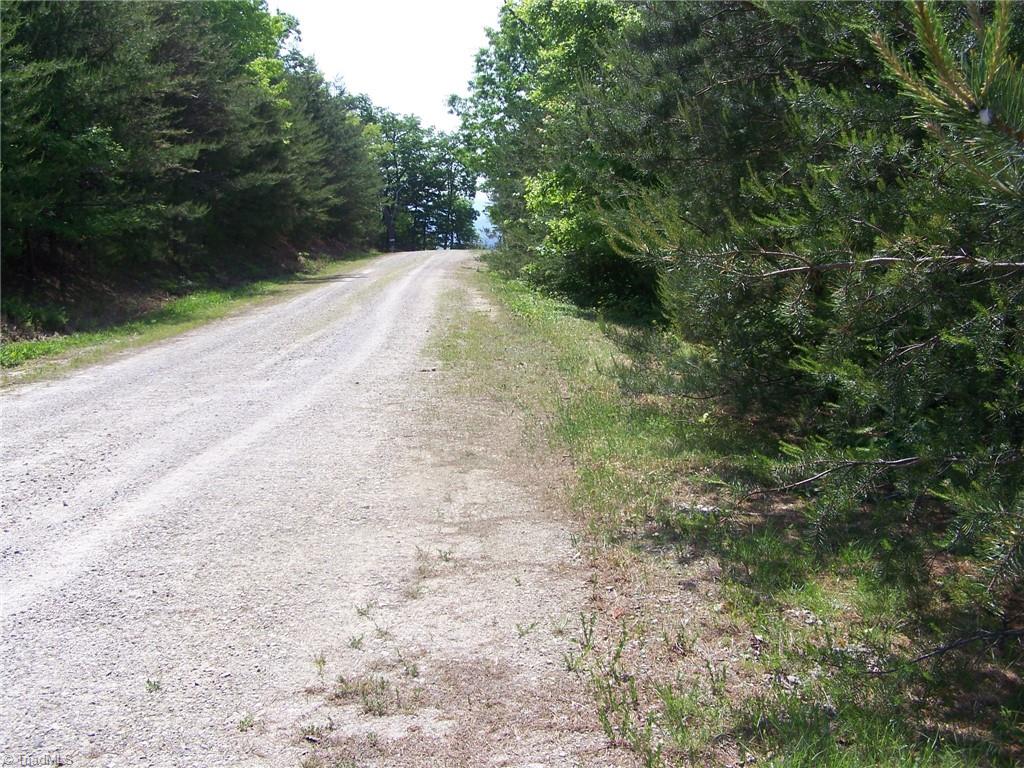 70 Deer Run Purlear, NC 28665 - Photo 5 of 5 Road to Tract