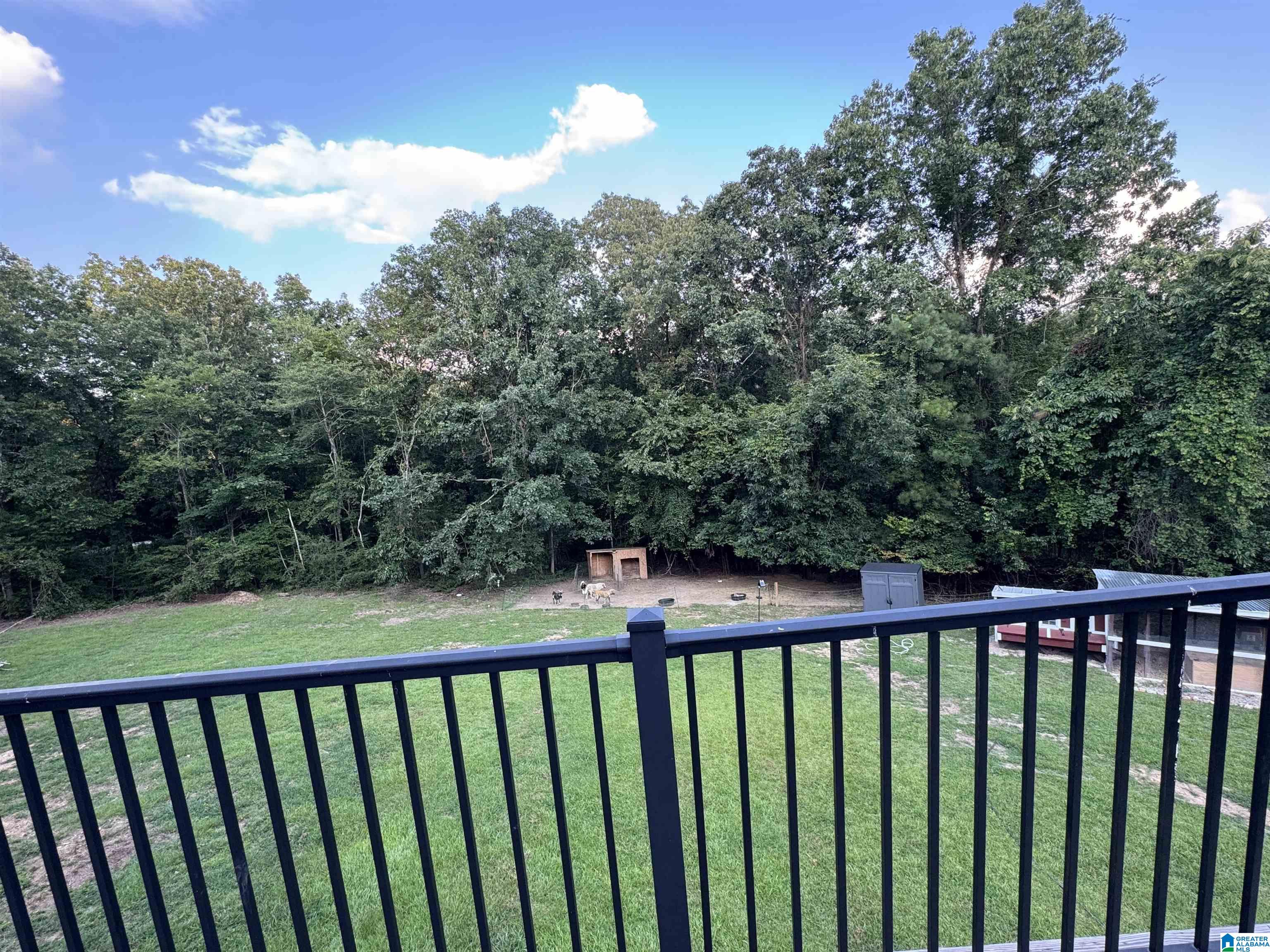 175 Shady Hollow Road Eastaboga, AL 36260 - Photo 43 of 50