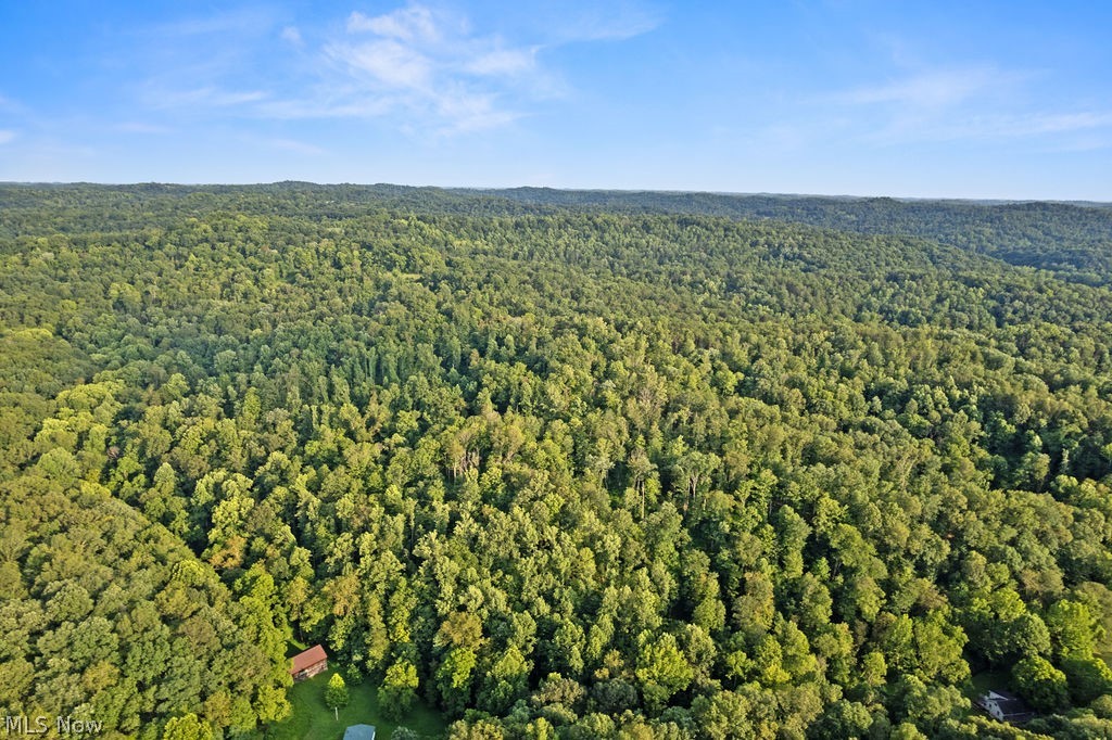 102 Logston Run Road Ravenswood, WV 26164 - Photo 41 of 42 Expansive wooded landscape featuring a dense tree canopy