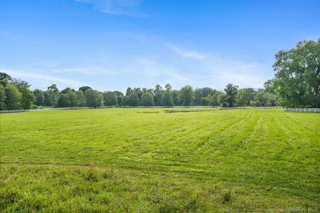a view of a yard with a bench