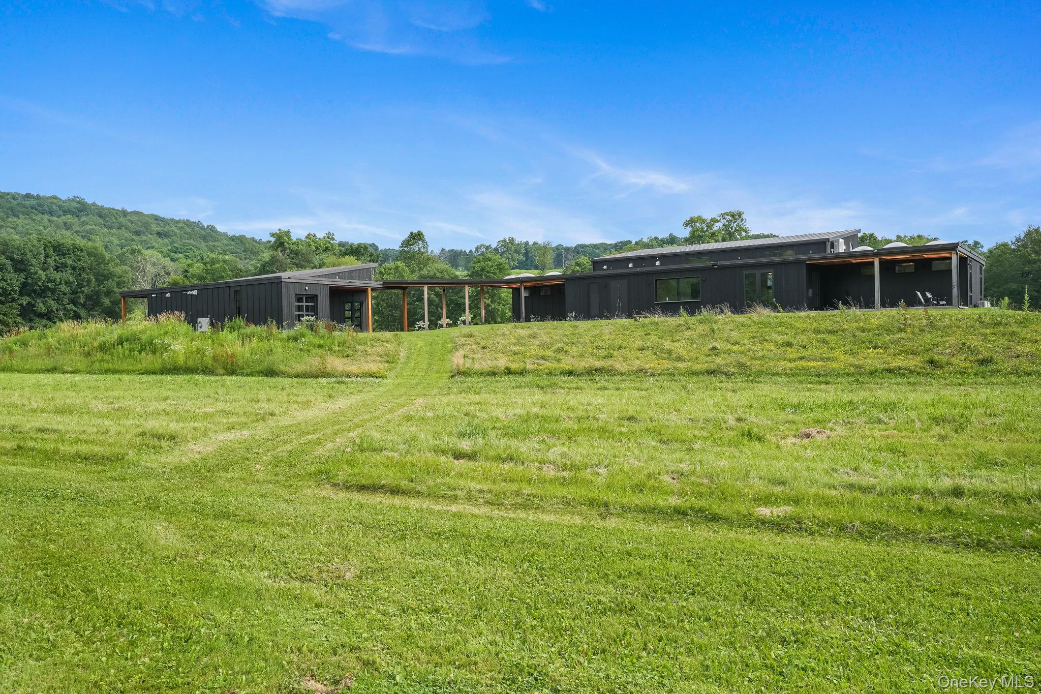 476 Carpenter Hill Road Pine Plains, NY 12567 - Photo 8 of 50 back yard