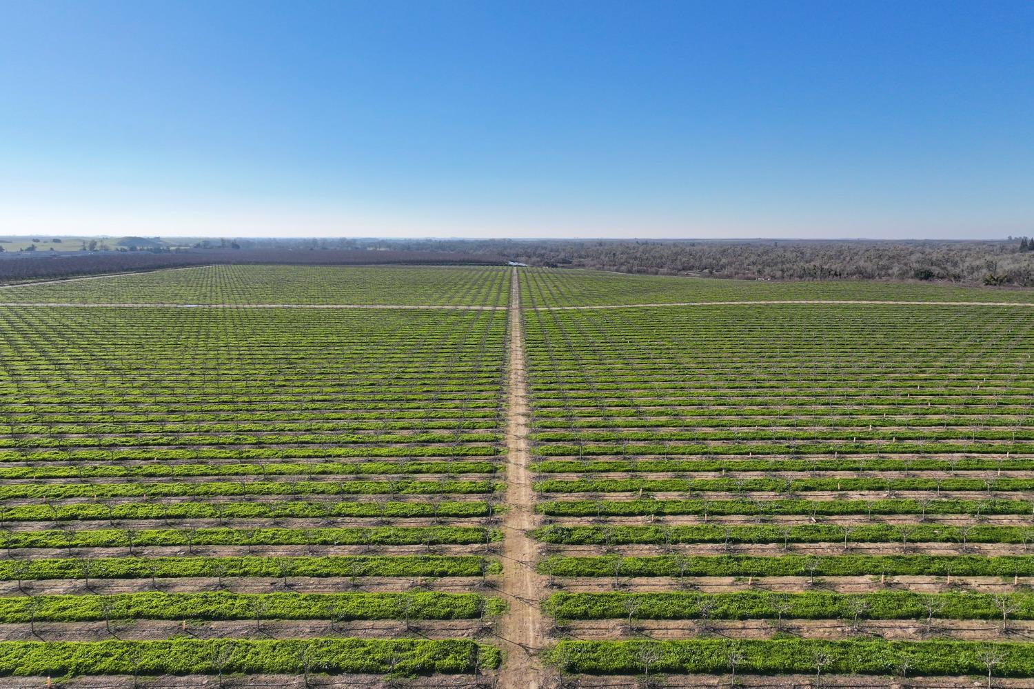 15743 Allen Road Snelling, CA 95369 - Photo 4 of 12 a view of a room
