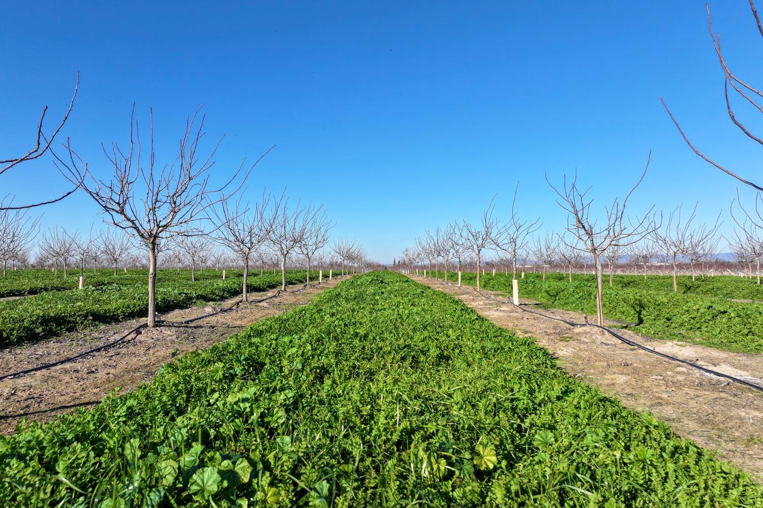 15743 Allen Road Snelling, CA 95369 - Photo 5 of 12 a view of a park