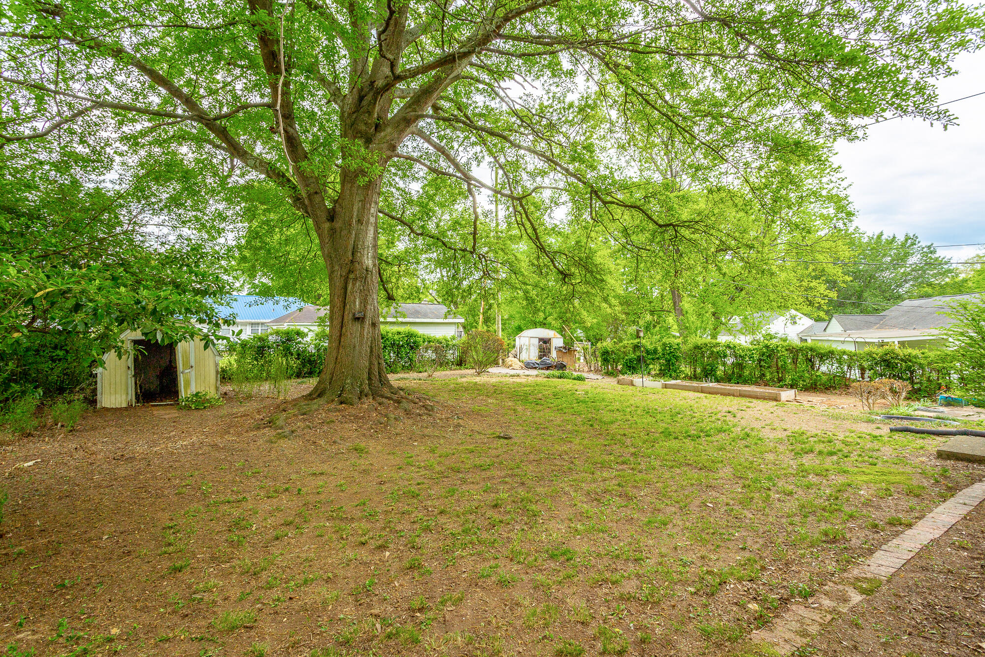 522 Sharondale Road Chattanooga, TN 37412 - Photo 6 of 24 Large level backyard