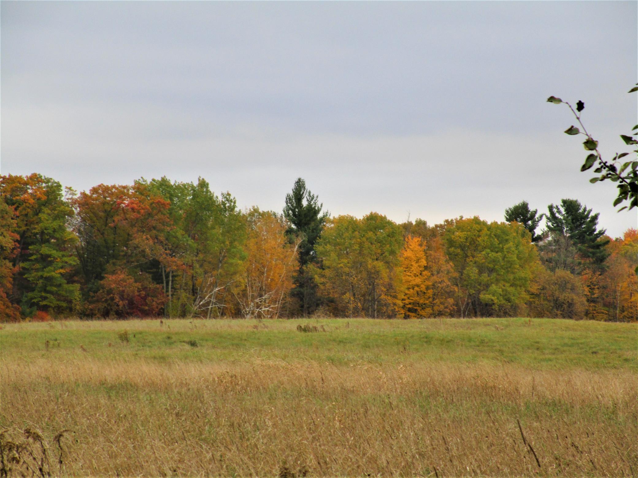 3 90th Street Frederic, WI 54837 - Photo 2 of 4