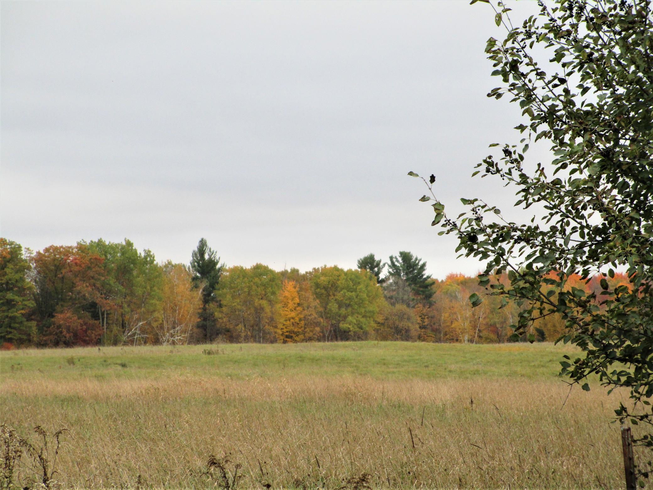 3 90th Street Frederic, WI 54837 - Photo 3 of 4