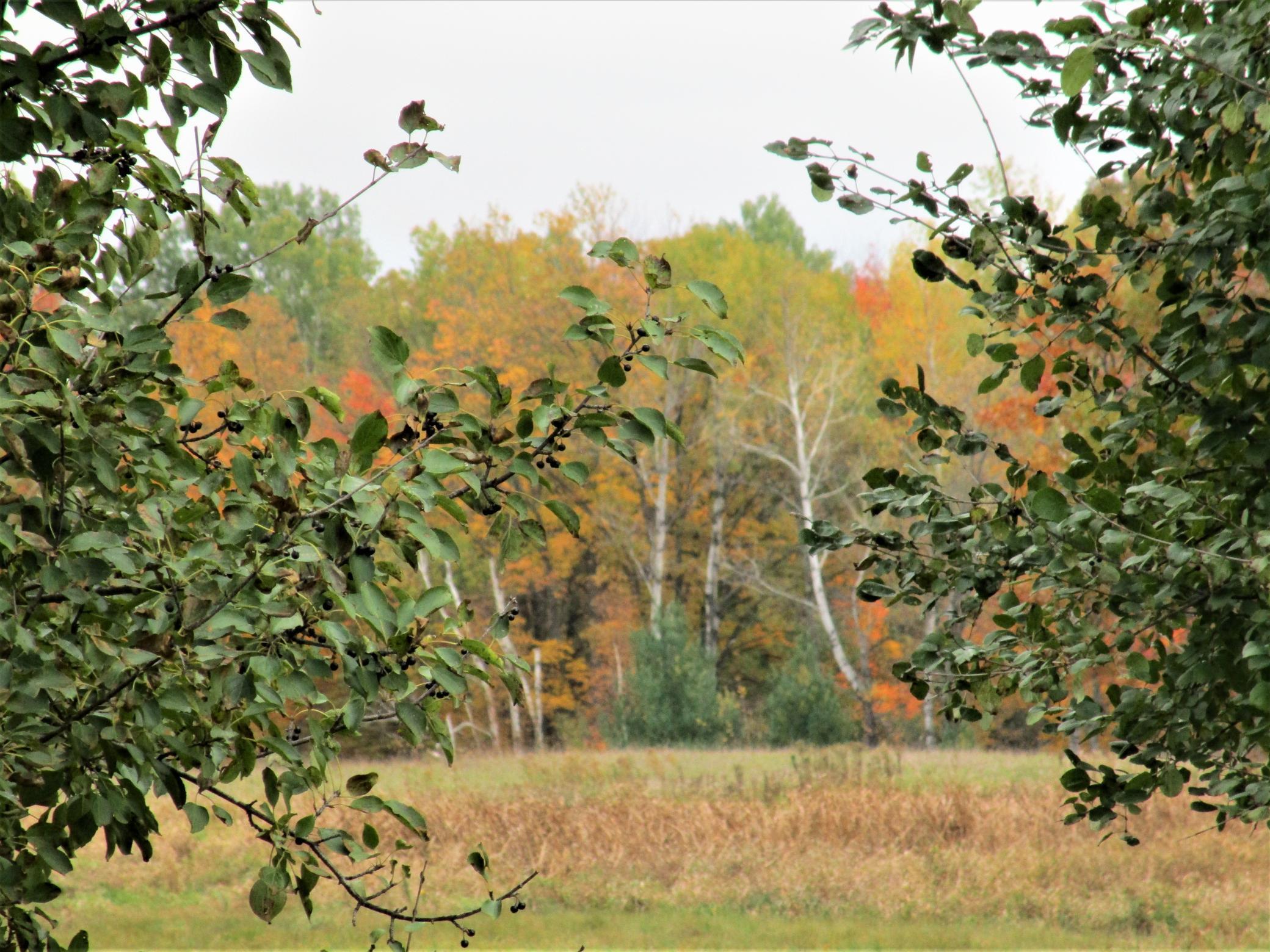 3 90th Street Frederic, WI 54837 - Photo 4 of 4
