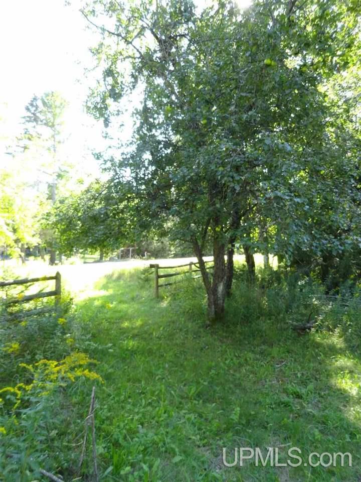 6386 Co Rd 432 Rock, MI 49880 - Photo 38 of 39