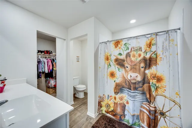 a bathroom with a sink mirror and vanity