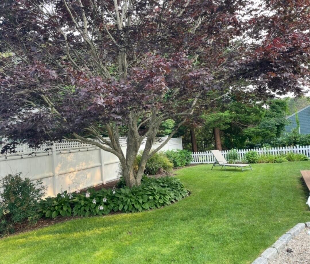 3 McNamara Road West Yarmouth, MA 02673 - Photo 45 of 45 a view of a house with a big yard and a large tree
