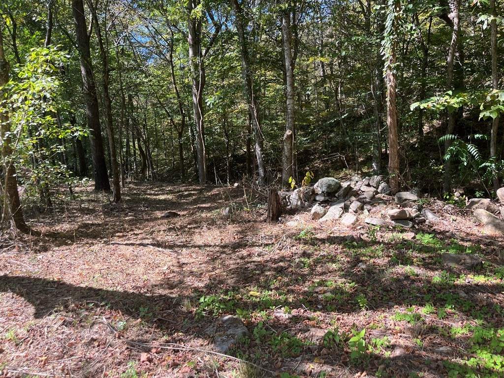 1555 Ponderosa Road Del Rio, TN 37727 - Photo 29 of 30 Gallery Image 29