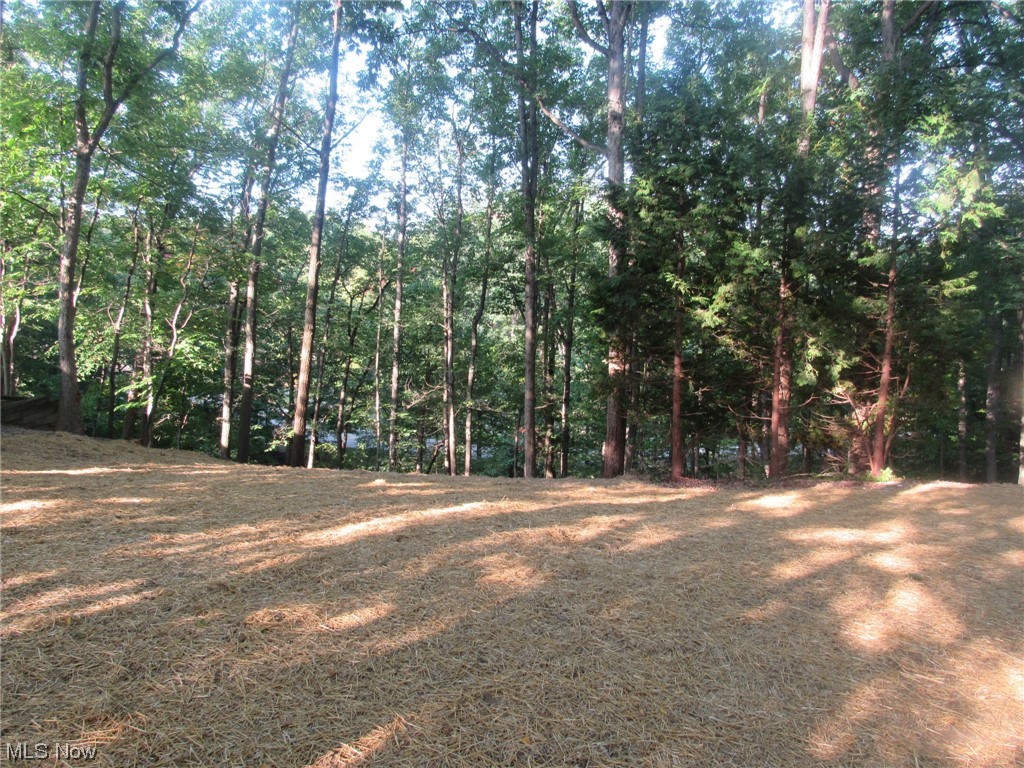 12232 Moss Point Road Strongsville, OH 44136 - Photo 7 of 18 Gallery Image 7