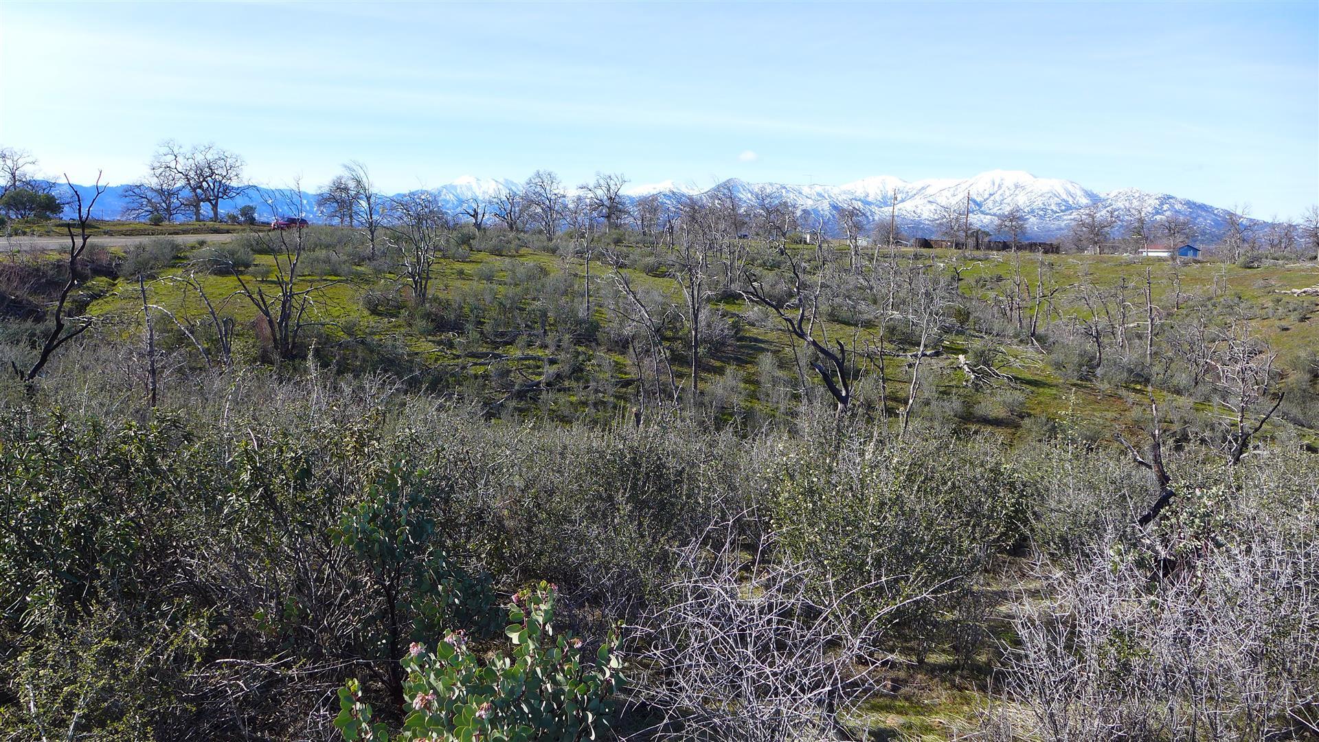 6-acres Gas Point Road Igo, CA 96047 - Photo 11 of 12 P1080362