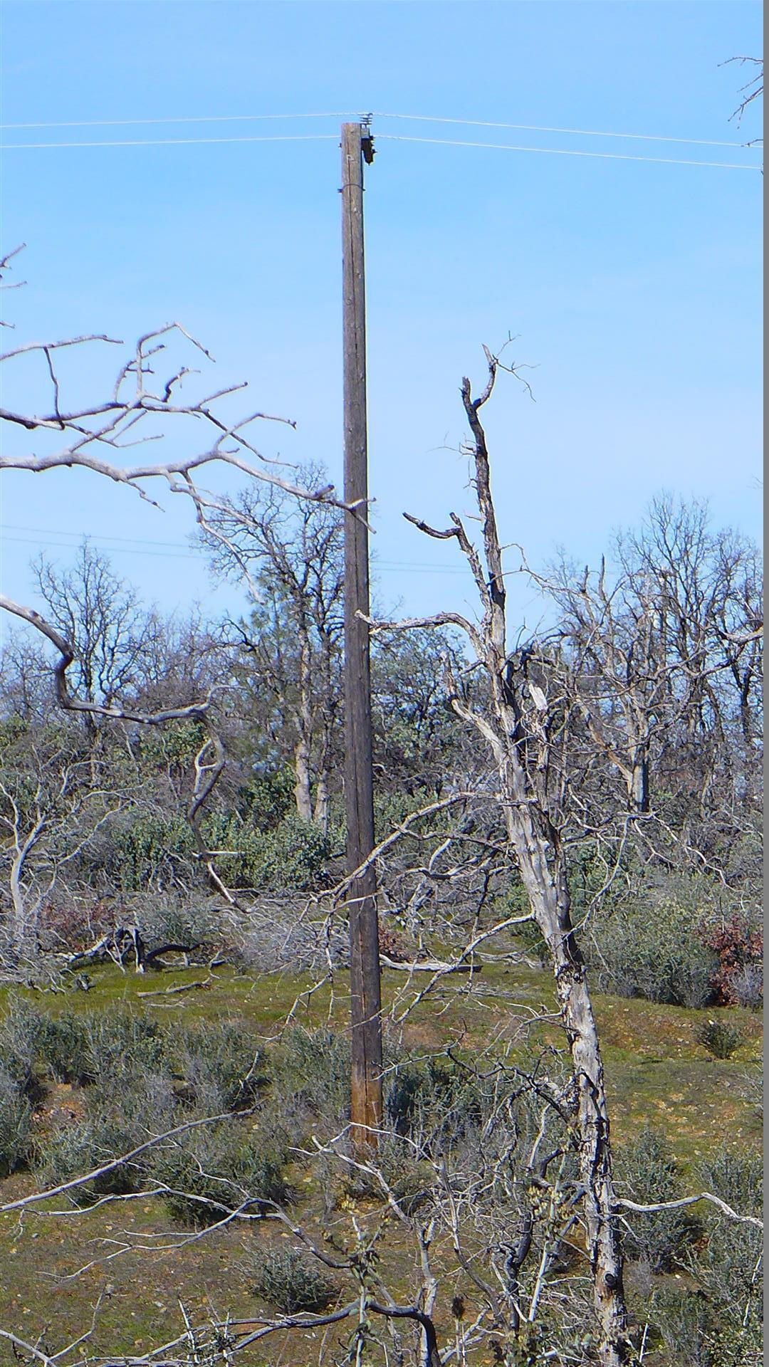P1080357