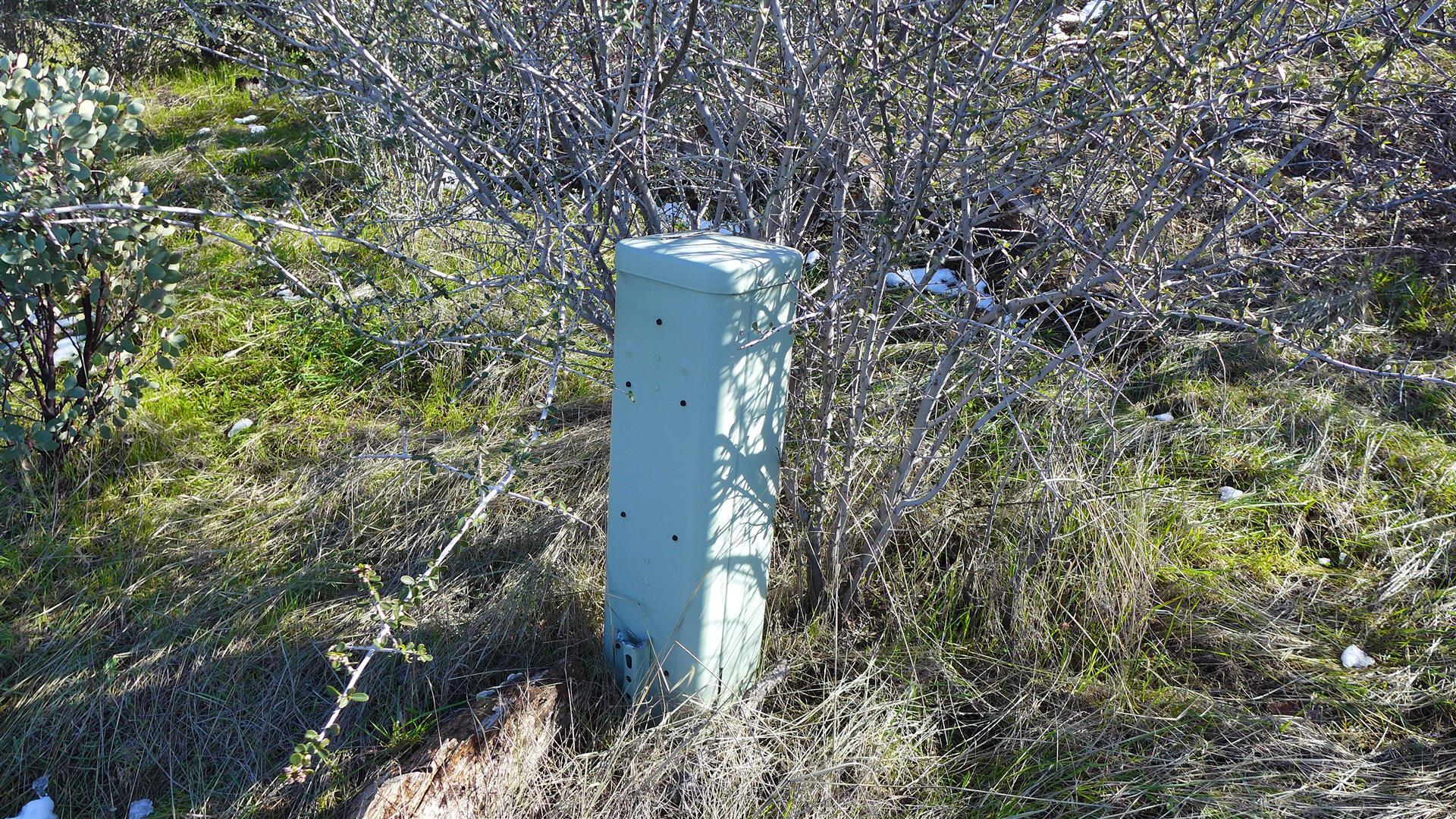 6-acres Gas Point Road Igo, CA 96047 - Photo 8 of 12 P1080359