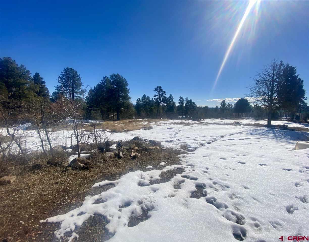 20 Pine Ridge Road Durango, CO 81301 - Photo 1 of 9 Gallery Image 1