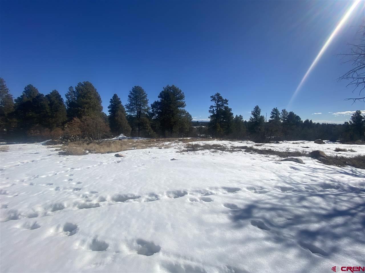 20 Pine Ridge Road Durango, CO 81301 - Photo 3 of 9 Gallery Image 3