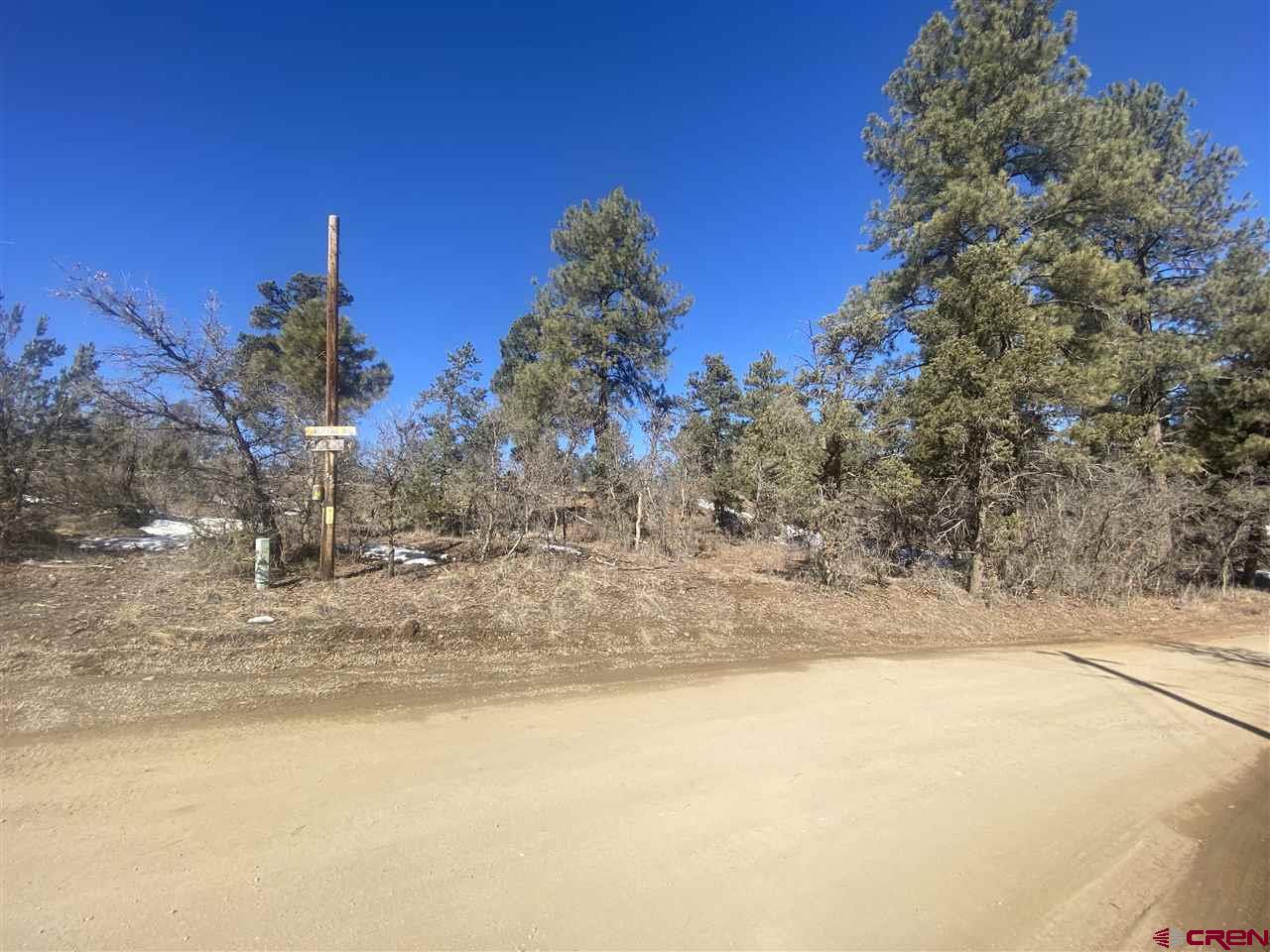 20 Pine Ridge Road Durango, CO 81301 - Photo 4 of 9 Gallery Image 4