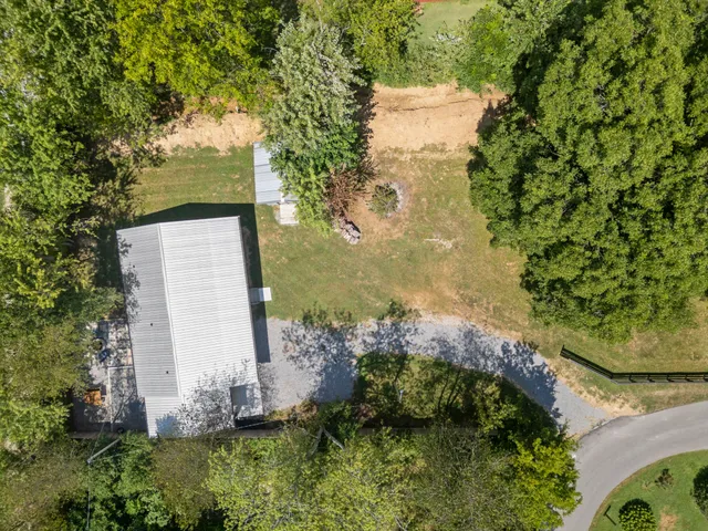 a view of a garden with large trees