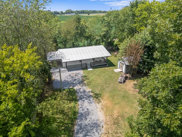 a view of a back yard with green space
