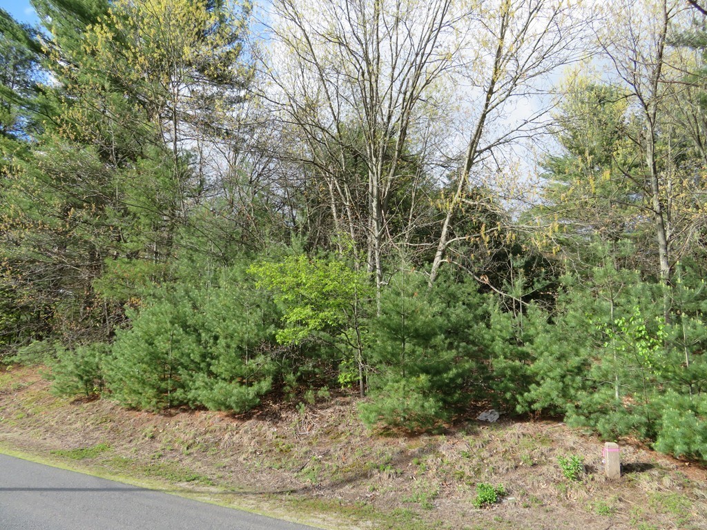 13 Cook Road Southampton, MA 01073 - Photo 3 of 5