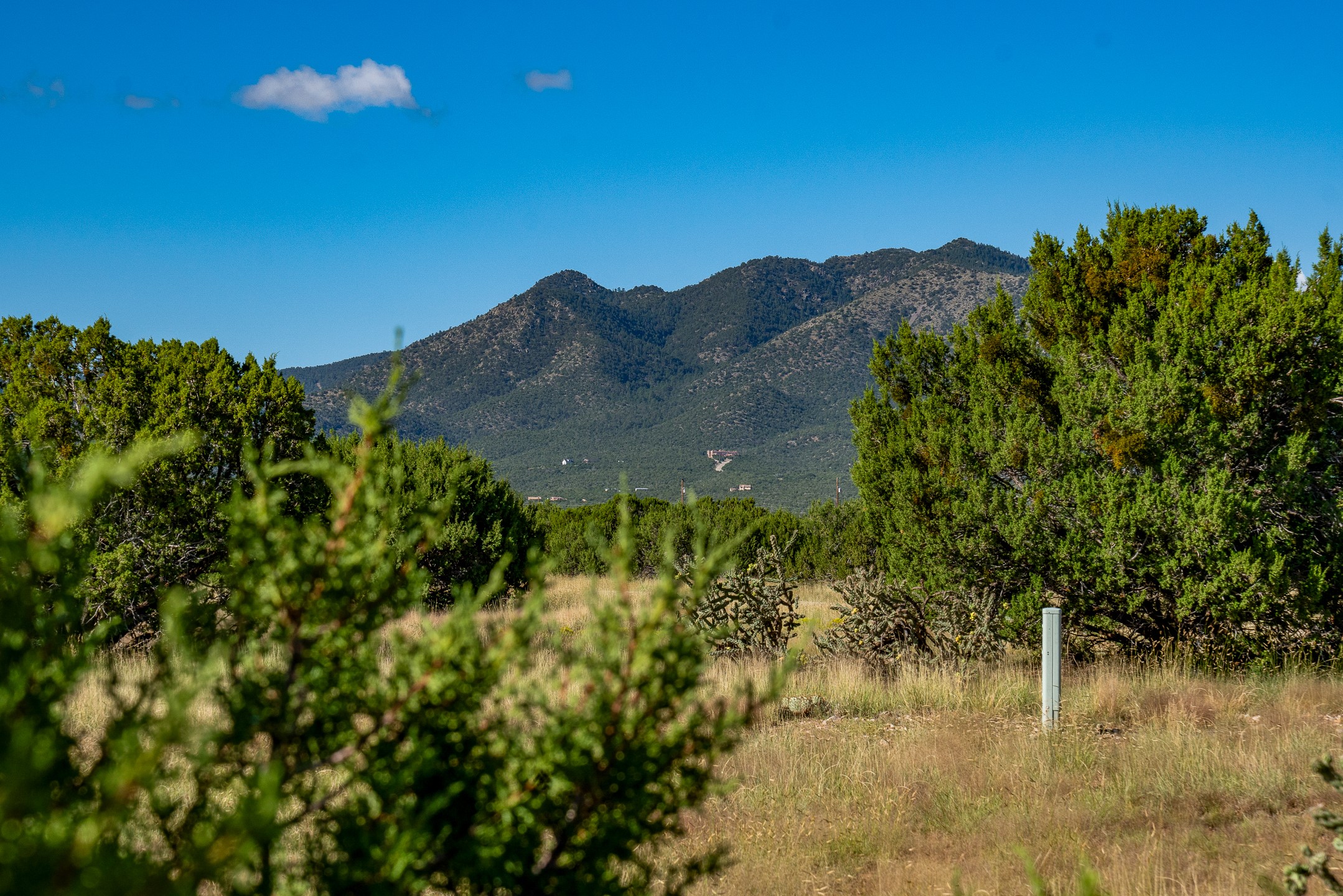 95 Grenfell Ranch Road Cerrillos, NM 87010 - Photo 6 of 47