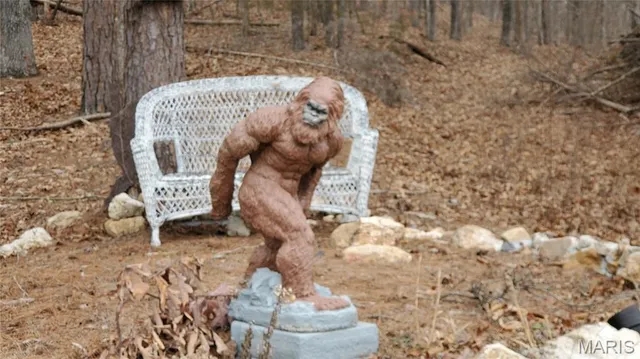 $79,900 | 7921 Hwy J, Black, MO 63625