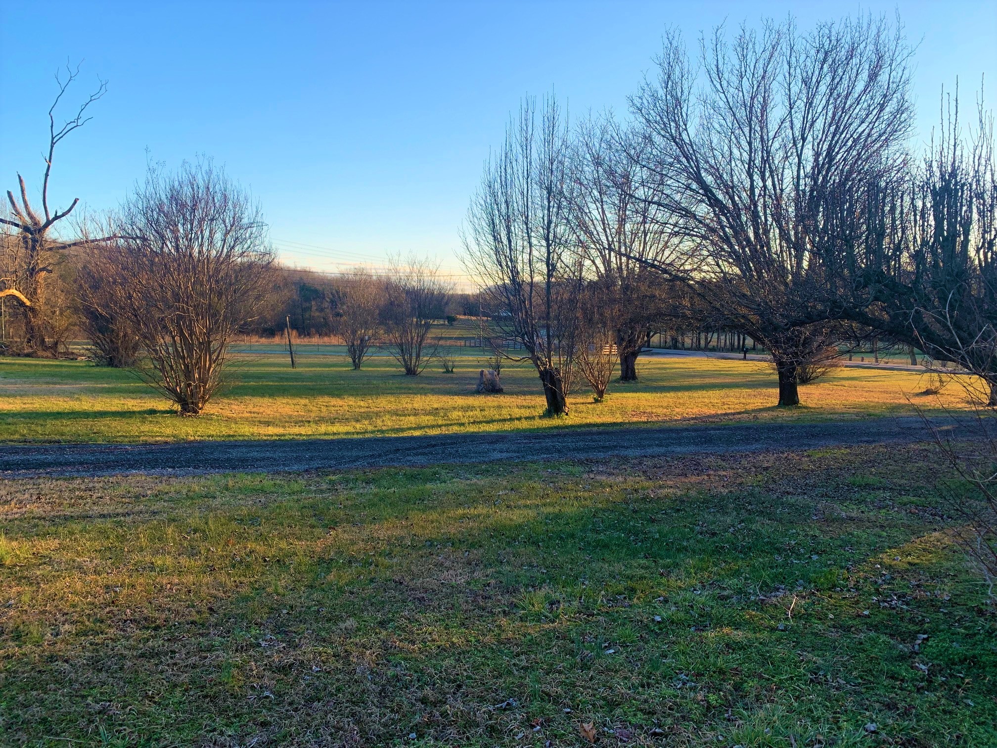 4052 Hill Road Rockvale, TN 37153 - Photo 3 of 5 a view of a swimming pool with an outdoor space and seating area