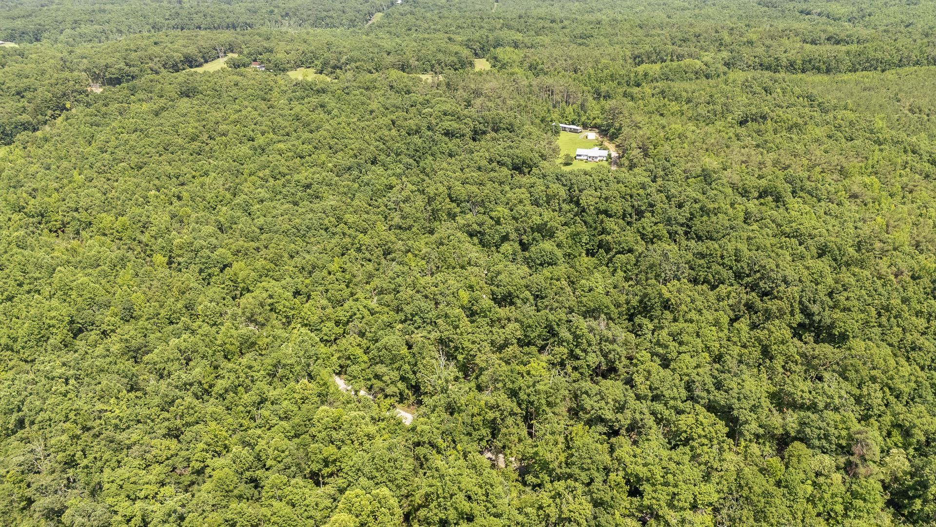 1640 Lick Creek Road Michie, TN 38357 - Photo 36 of 40