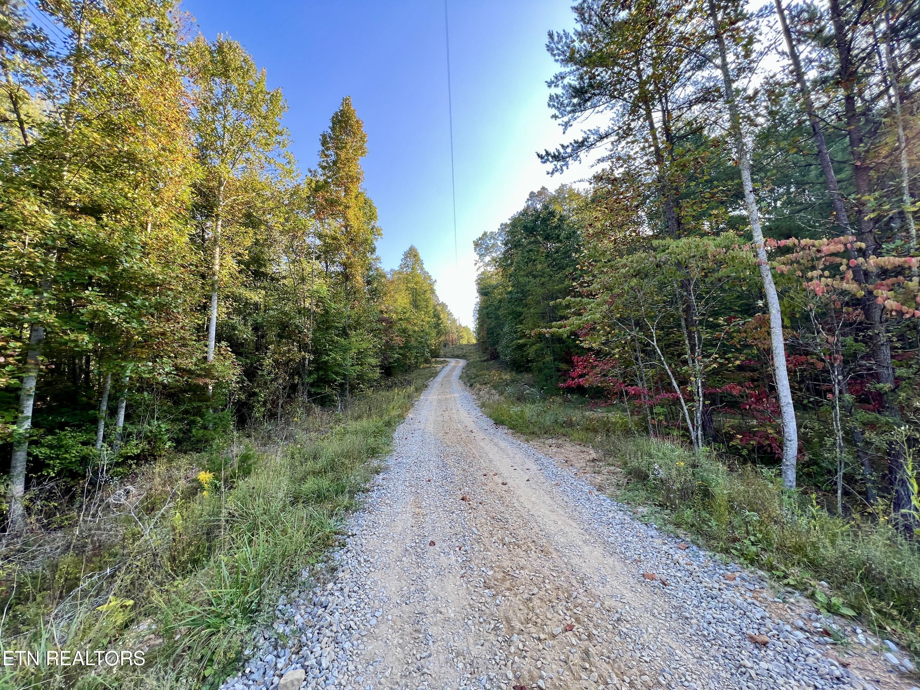 T Cooper Road Lancing, TN 37770 - Photo 7 of 39 7