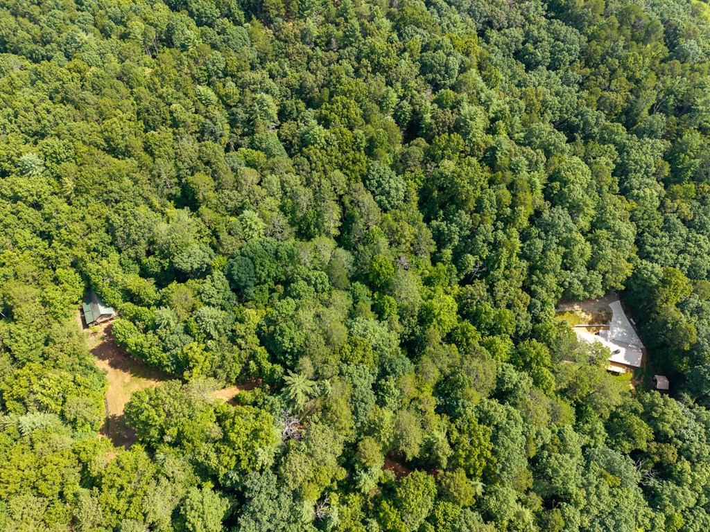 673 Harold Pritchett Road Ellijay, GA 30540 - Photo 45 of 45 Gallery Image 45
