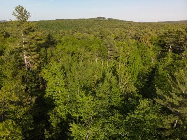Tbd Tbd Buzzle Road Acton, ME 04001 - Photo 6 of 8 6