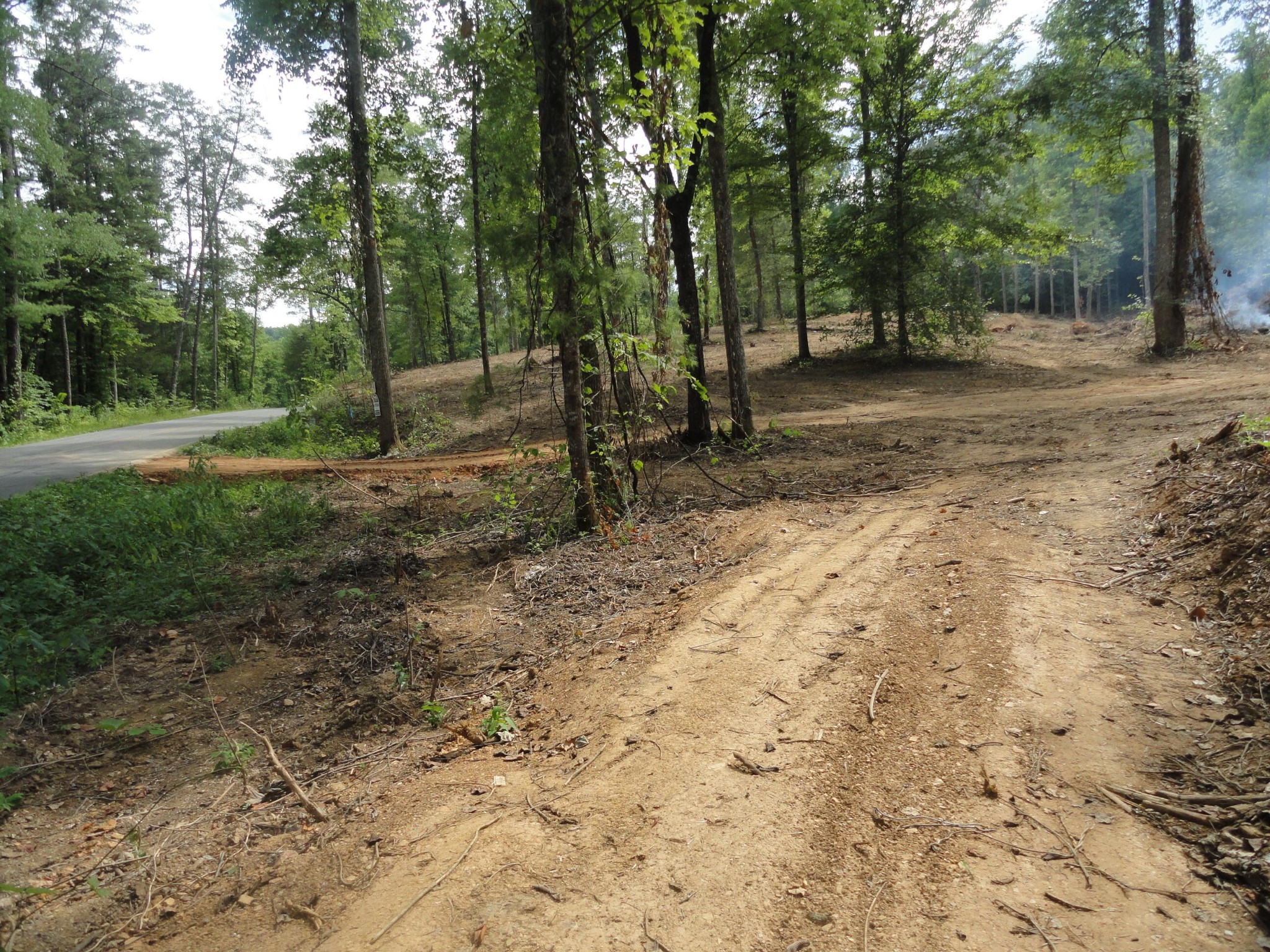 2277 Tellico Reliance Road Reliance, TN 37369 - Photo 17 of 34 a view of backyard with trees