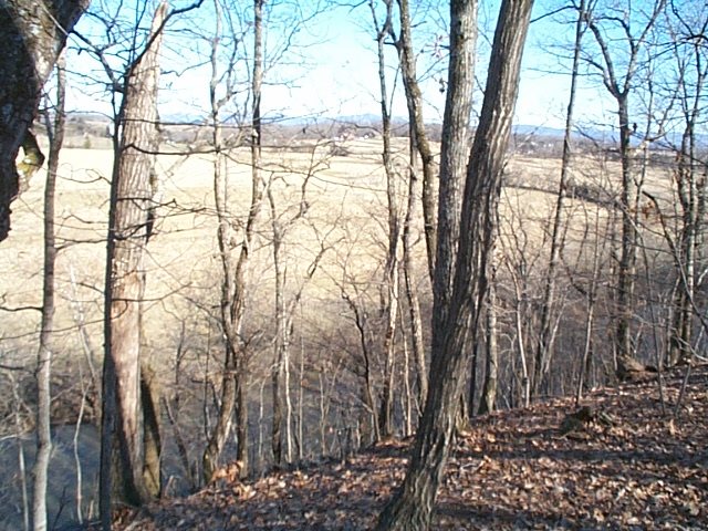 780 Mill Race Road Verona, VA 24482 - Photo 3 of 6 a view of outdoor space with lots of trees
