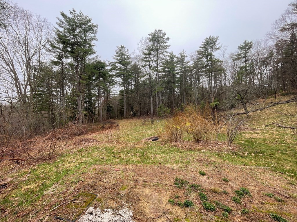 163 East Rindge Road Ashburnham, MA 01430 - Photo 12 of 42 a view of backyard with green space